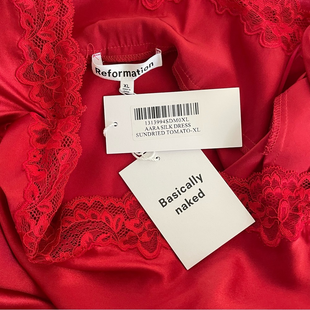 Reformation Aara Silk Dress in Sundried Tomato - Picture 10 of 11